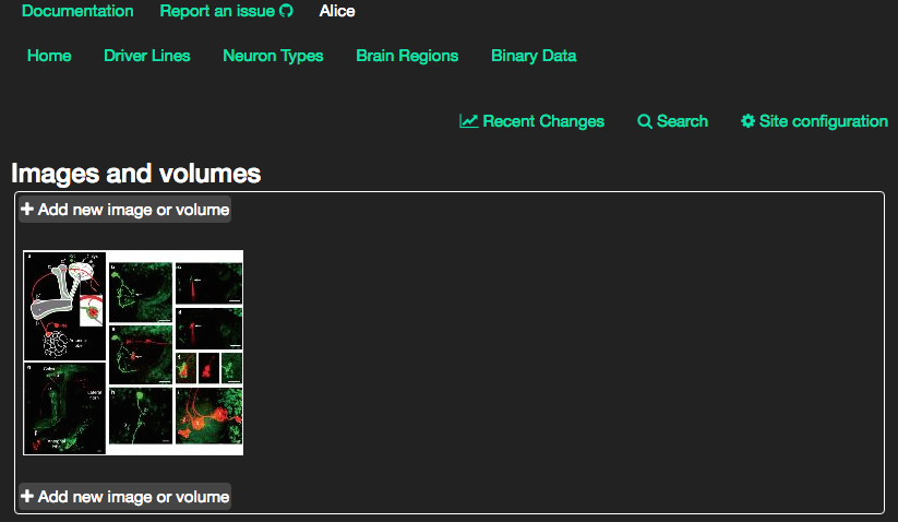 Neuron Catalog screenshot
