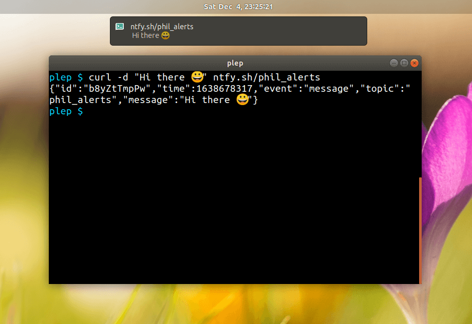 sntfy screenshot